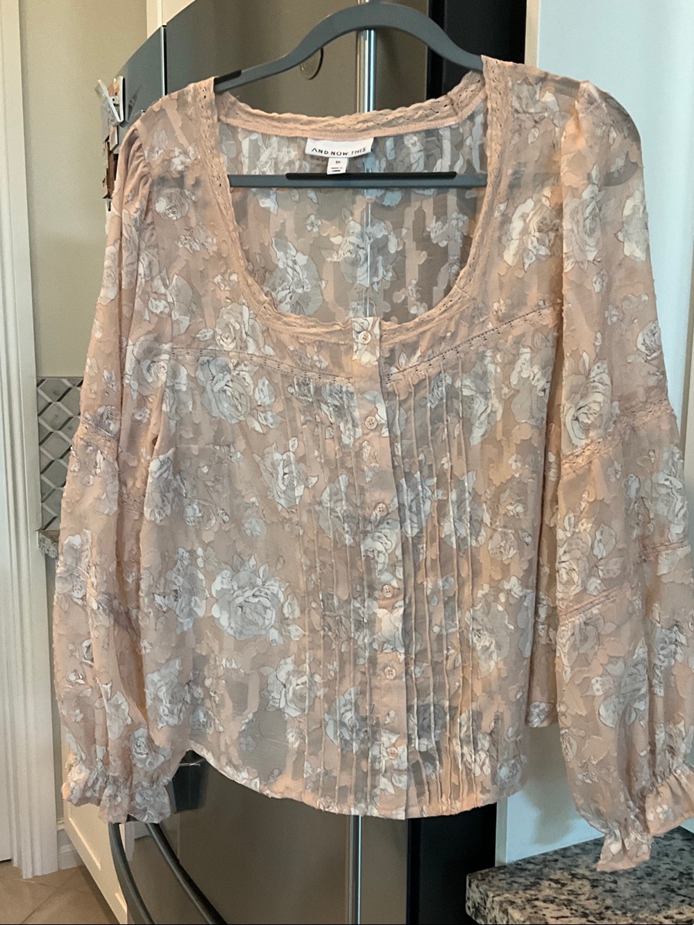 And Now This Blush Floral Pintuck Sheer Blouse